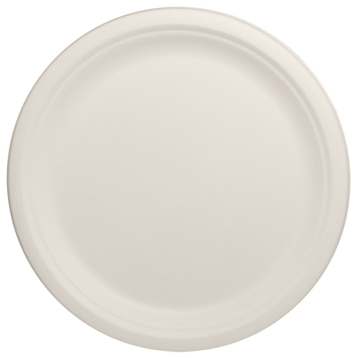 Eco-friendly 10″ Bagasse Round Plate Case