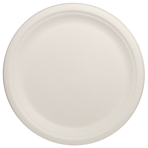 Eco-friendly 10″ Bagasse Round Plate Case